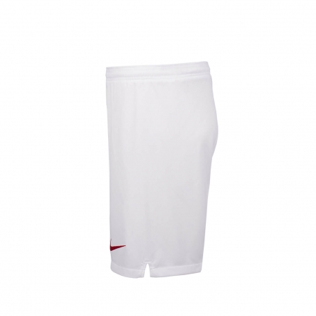 Шорты Nike мужские 17/18 белые-Белый-S