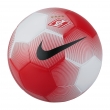 Мяч Nike Spartak Prestige