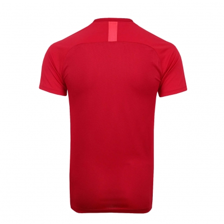 Футболка тренировочная Nike сезон 2019/20 красная-Красный-S