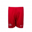 Шорты Nike мужские 17/18 красные-Красный-XXL